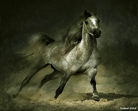 furia