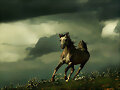 libre