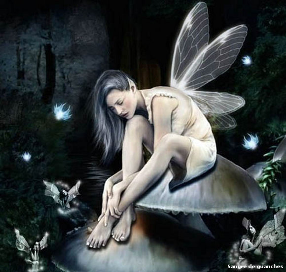 Dulce noche magica