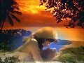 el amor