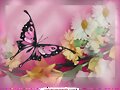 mariposas y rosas