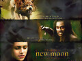 New Moon!