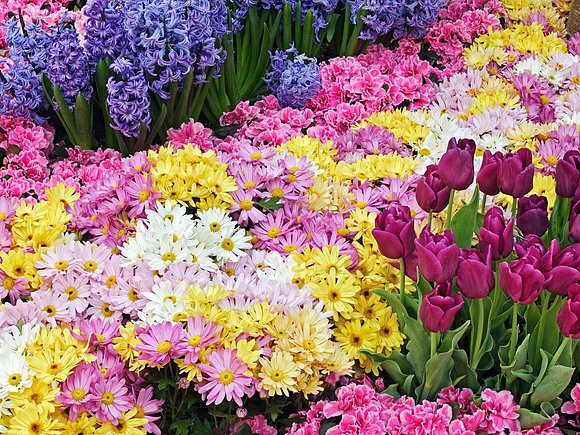 UN JARDIN