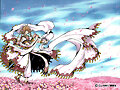 sakura_chaan