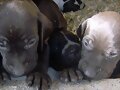 Dama,Duna...hemos cumplido nuestro primer mes.....