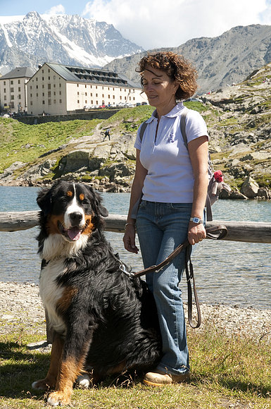 En el Hospicio del Gran San Bernardo