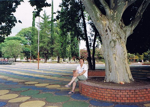 Cuaraí