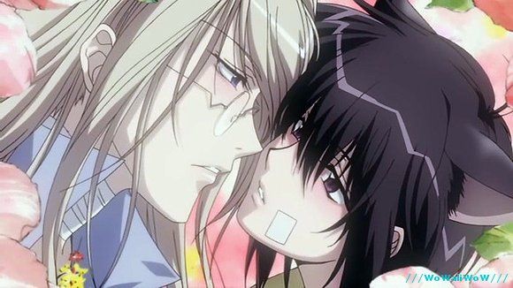 DeAr####DeAr..........LoVe*****YaOi******