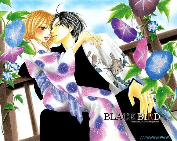 ♥♥♥♦♣♠BlAcK_Bi
