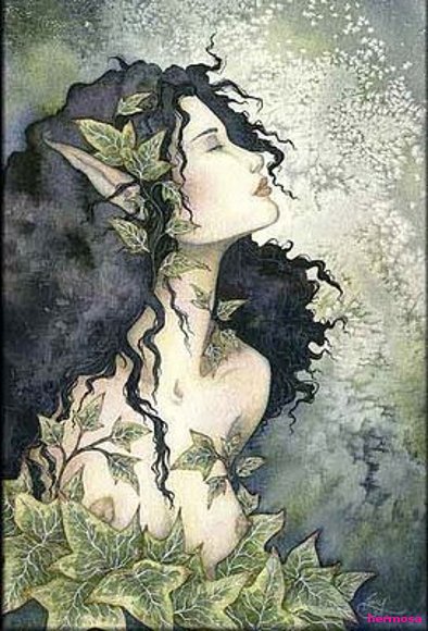 Ninfa