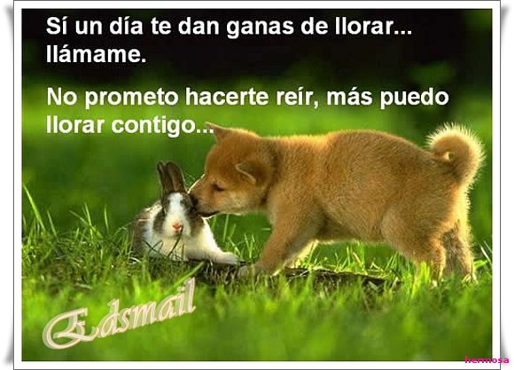 Dejame llorar contigo