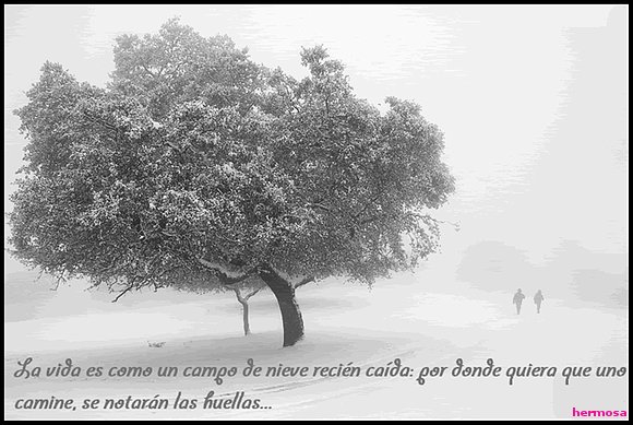 Huellas