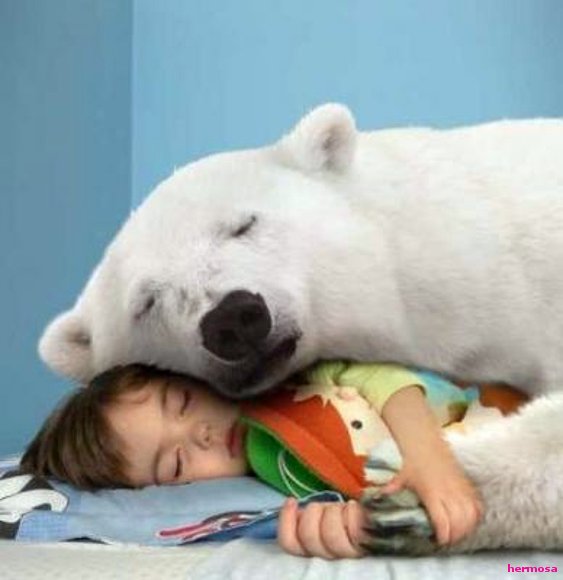 Bellos...