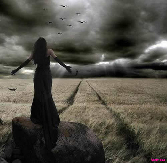 Hermosa Libertad