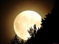 Luna Llena