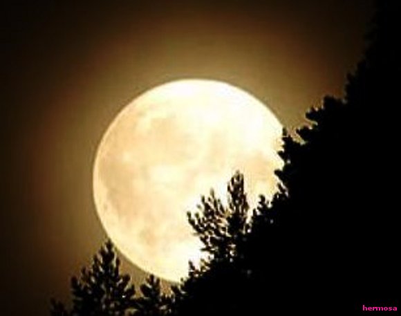Luna Llena