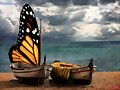 Mariposa