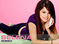 Sel