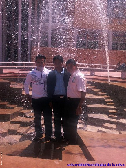 yo y mis amigos