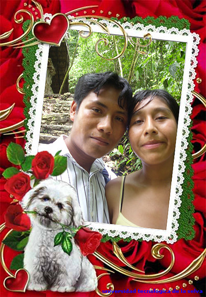 mi amor