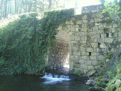 Puente en playas blancas