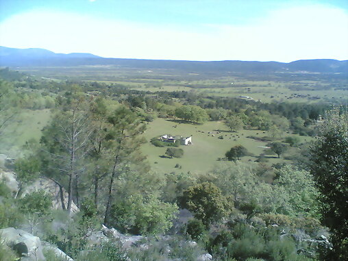 El prado pintor