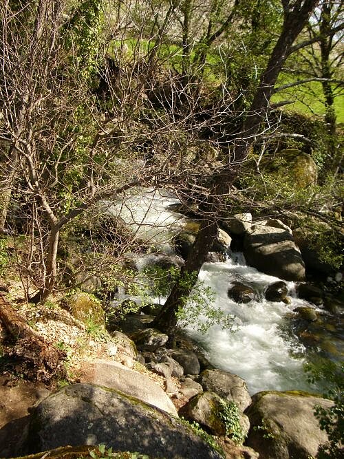 Rio Jerte 1