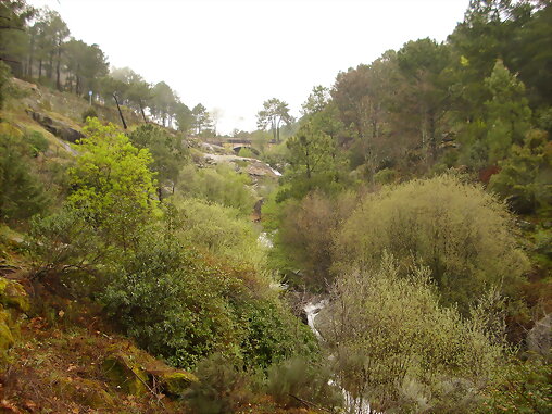 Rio arbillas