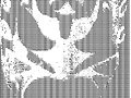 Ultimo Guerrero