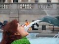Lali y el delfin