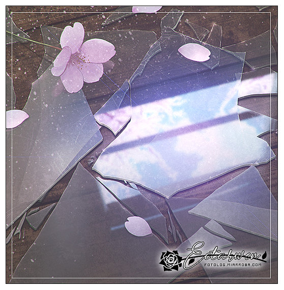 06/04/2019