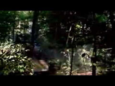 michael jackson-earth song