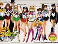 ...Sailor Moon...