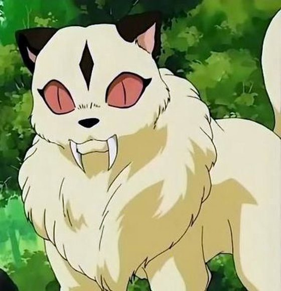 ^(*)^!!Kirara!!^(*)^