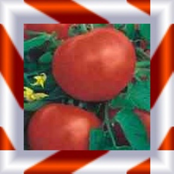Adivinanza