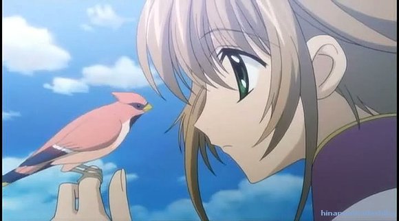 tsubasa crinicas de sakura