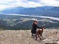 Allie Bertram y su perro Charles