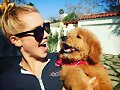 Claire Holt con su nuevo perrito Henry