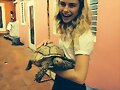 Lucy Fry - The Preppie Connection movie