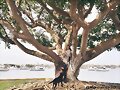 Allie Bertram y su perro Charles