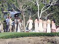 Phoebe Tonkin en la boda de Teresa Palmer | 2013