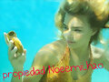 Bella cogi&eacute;ndole una caracola para Will