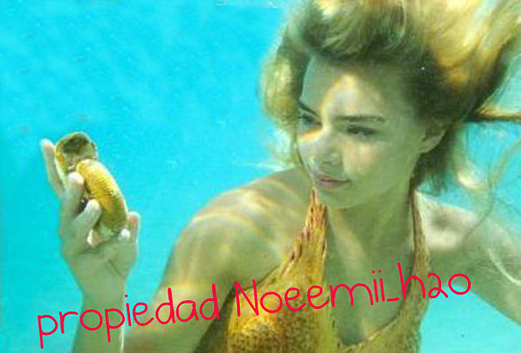 Bella cogiéndole una caracola para Will