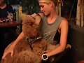 Claire Holt con su perro Henry