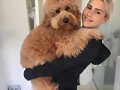 Claire Holt con su perro Henry