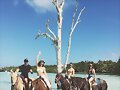 Luke Mitchell &amp; Rebecca Breeds en Las Bahamas 2016