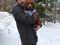 Luke Mitchell con su perro Alfie