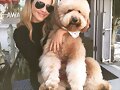 Claire Holt con su perro Henry