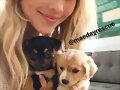 Claire Holt en su sitio de rescate de animales