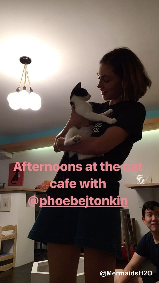 Phoebe Tonkin - Instagram Story August 2017